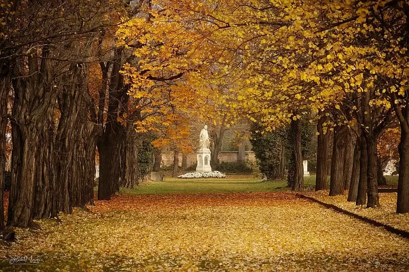 Fiumei street cemetery