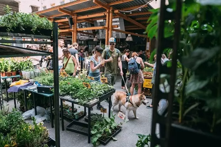 Anker't Sunday flower market