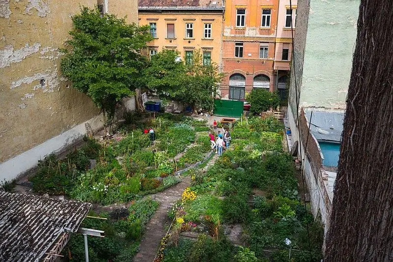 Community garden in Budapest