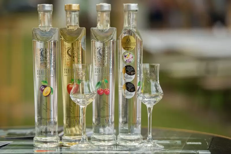 Hungarian palinka